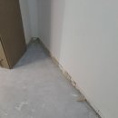 백옥대로 1898번길 이미지