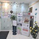 이플랜치과의원 네이버블로그