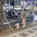 제주;길
