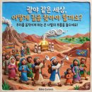 약속의 땅 Daum카페