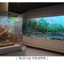 채움자원