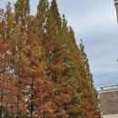 경상국립대학교 학생생활관칠암분관 이미지