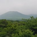 박신 행정사사무소 이미지