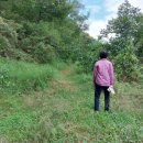 황금빛농장 이미지