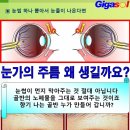 눈가의 주름을 펴면 골반의 속살도 펴져~눈물샘과 난소(01) 이미지