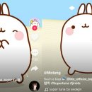 도참치 이미지