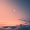 금오옥토 이미지