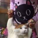 베를린166