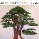 지식.상식.하나씩 쌓아 보세요 이미지