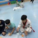 용인대 석사 태권스쿨 이미지