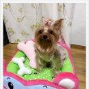 퀸스네일 이미지