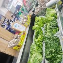 농협 하나로클럽 | 농식품바우처 오프라인 가성비 좋은 곳은? 강동농협 하나로마트 feat. 2026 양배추한통에 천원!