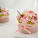 파파케이크 이미지