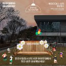 춘천시립청소년도서관 티스토리