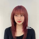 이철헤어커커수원 이미지