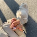 (주)디에스씨 남동지점 | 즐거운 나의 일상 •인천시청주차•구월동맛집•구월동카페