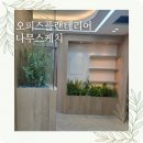 오피스 플랜테리어, 사무실 분위기를 바꾸는 조화 조경 시공 후기