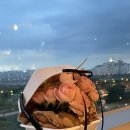 청산도수산