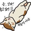 선헤어샵 네이버블로그