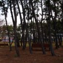 무전 해변공원 이미지