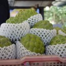 태평양식당 이미지