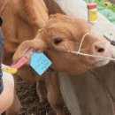 초우농장2 이미지