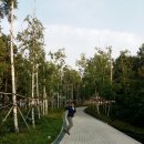 예쁜아이치과의원 이미지