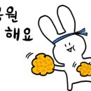 L마트 정육 - 영동군 | L마트 정육