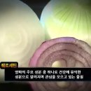 초록마을목포