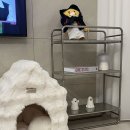 몽글몽글 펫 | [강아지 리뷰] 하얀색 인테리어에 찰떡! 베베데코 몽글몽글 밍크라떼 펫하우스 M사이즈 솔직 후기 🐶