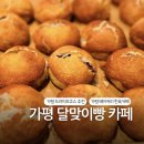 달맞이팬션 | 가평 한옥 베이커리 카페 &#39;달맞이빵&#39;, 밥상 영수증으로 할인받고 선물 산 후기 (내돈내산 솔직후기)
