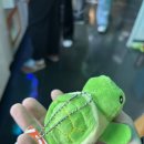 뽑아가으리 이미지