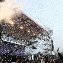 벚꽃플러스 이미지