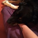 아주-0017 이미지