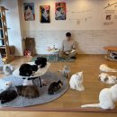 집사의 하루 일산점 이미지