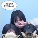 이차돌정읍충정점 이미지
