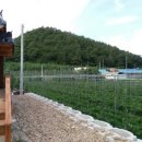 운학농장 이미지