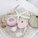 수영 엔스타 오피스텔 | 수영 꽃집 플루미에르 가성비 좋은듯 :)