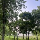 덕진-86 | 전주 에코시티 가볼만한곳 백석공원 솔직후기 산책과 자전거 타기 좋은 곳