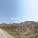 New탑부동산공인중개사사무소 이미지