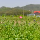 정동1교 이미지