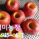 흰대미농장