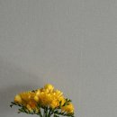 율이농장 이미지