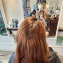 헤어폼헤어 이미지