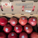 아이브릭스-석류,적용과,오렌지 이미지