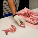 소나무언덕 이미지