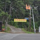주전블루베리 네이버블로그