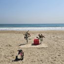 바다요정 | [아기 스냅] 아기 스냅 전문 온모먼트 부산 동백 요정 촬영 후기🌺