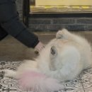 겨울이 머무는 집 이미지