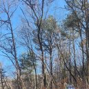 문지왈경로당 이미지